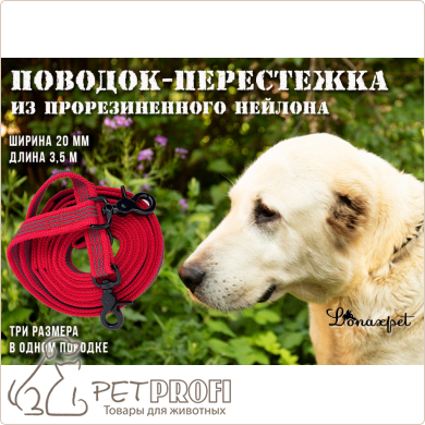 Поводок-перестежка из прорезиненной стропы красный