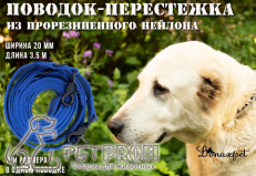 Поводок-перестежка из прорезиненной стропы синий