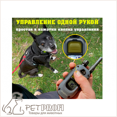 Электроошейник Dogtra 640X