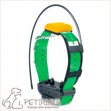 Дополнительный ошейник для Dogtra PATHFINDER 2