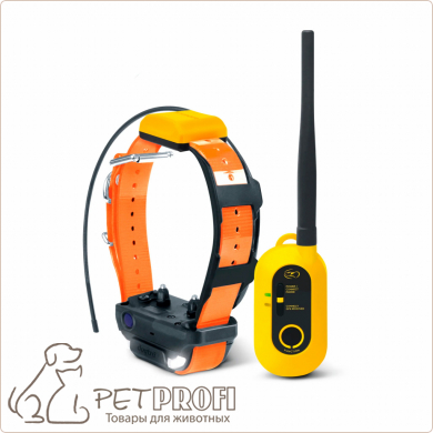 Dogtra PATHFINDER 2