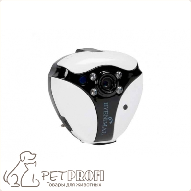 Видеокамера для кошек и собак EYENIMAL Pet Videocam