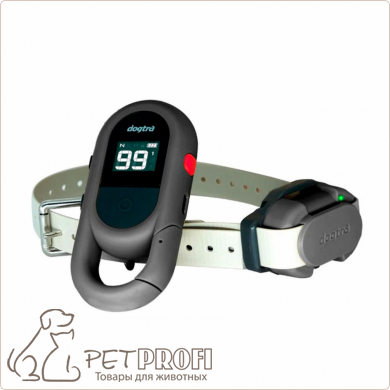 Электроошейник Dogtra iQ Flex