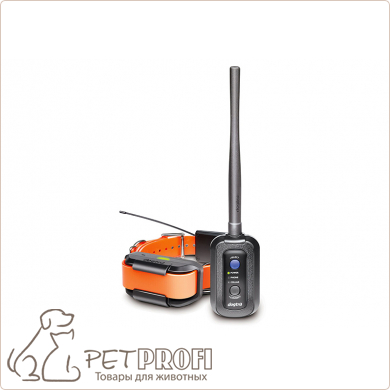 Устройство дрессировки и GPS поиска собак Dogtra Pathfinder