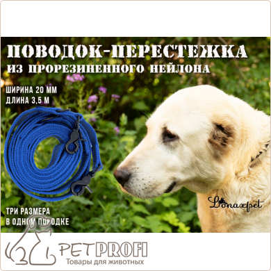 Поводок-перестежка из прорезиненной стропы синий