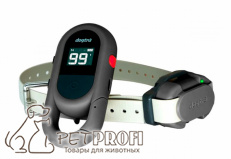 Электроошейник Dogtra iQ Flex